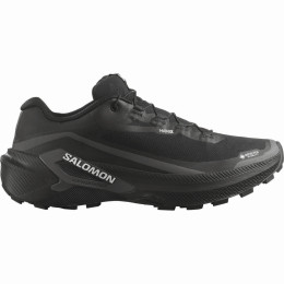 Мъжки обувки за бягане Salomon Genesis 2 GTX