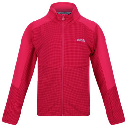 Детски суитшърт Regatta Jnr Highton FZ II розов