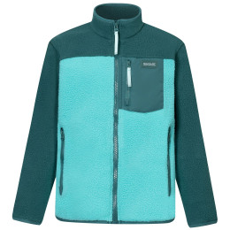 Детски функционален суитшърт Regatta Junior Frankie Warm Fleece Mediterranea/Turquoise грахово зелен/тъмно зелен Mediterranea/Turquoise