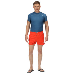 Мъжка тениска Regatta SS Rash Guard син