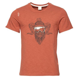 Мъжка тениска Chillaz Rock Hero Winter кафяв brick