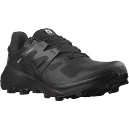 Мъжки обувки Salomon Wildcross 2 Gore-Tex черен Black(PantoneTapShoe)