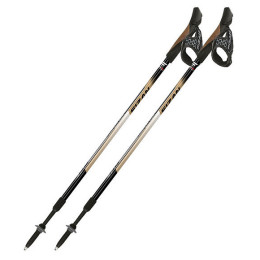 Щеки Fizan NW Speed