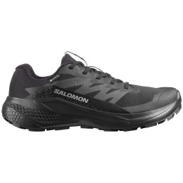 Дамски обувки Salomon Alphaglide Gore-Tex