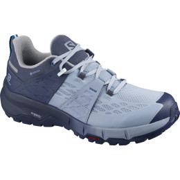 Дамски обувки Salomon Odyssey Gtx W светло син CrownBlue