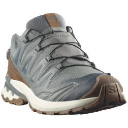 Мъжки обувки Salomon Xa Pro 3D V9 Gore-Tex Lifelong