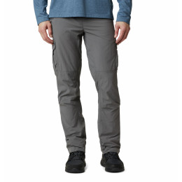 Мъжки панталони Columbia Silver Ridge™ II Cargo Pant сив CityGray