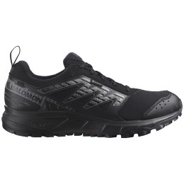Мъжки обувки за бягане Salomon Wander Gore-Tex