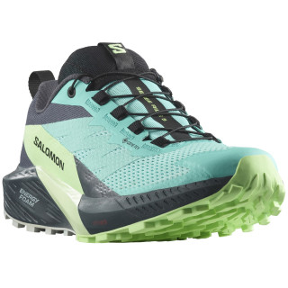 Дамски обувки за бягане Salomon Sense Ride 5 Gore-Tex син/зелен