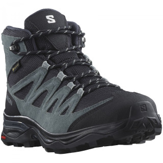 Salomon X Ward Leather Mid Gore-Tex