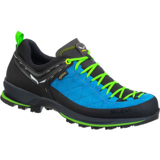 Мъжки обувки Salewa Ms Mtn Trainer 2 Gtx син BlueDanube/FluoGreen