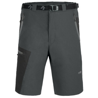 Direct Alpine Vulcan Short