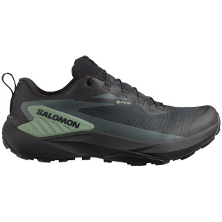 Мъжки обувки Salomon Genesis Gore-Tex черен/зелен Black / Agave Green / Urban Chic