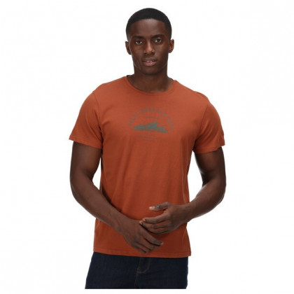 Мъжка тениска Regatta Cline VI оранжев