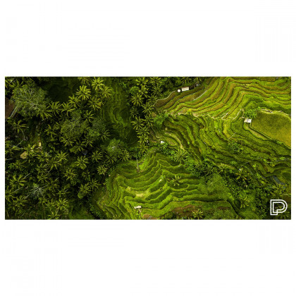 Бързосъхнеща кърпа Towee Rice Fields 80x160 cm зелен RiceFields
