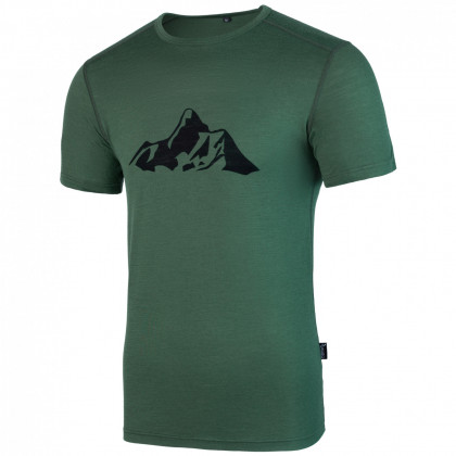 Мъжка тениска Warg Merino Mountain 165 Short Comfy зелен