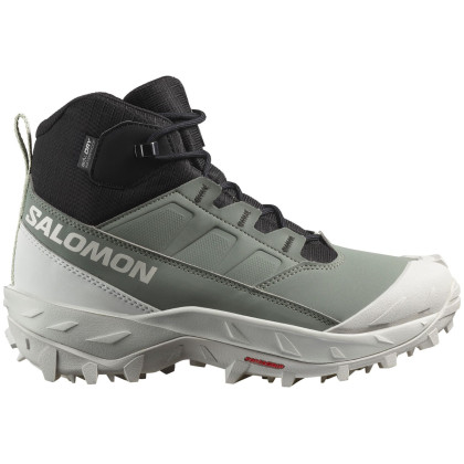 Дамски обувки Salomon Crosstrak Waterproof зелен Agave Green / Black / Canary Green