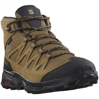 Мъжки обувки Salomon X Ward Leather Mid Gore-Tex кафяв