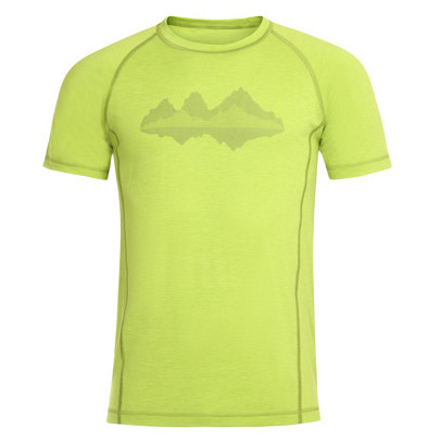 Мъжка тениска Alpine Pro Revin зелен