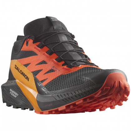 Мъжки обувки за бягане Salomon Sense Ride 5 Gore-Tex черен/червен