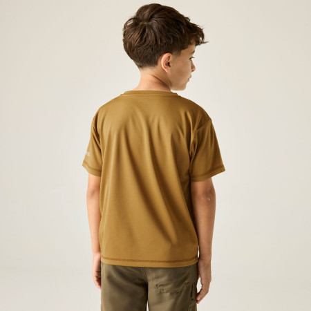 Детска тениска Regatta Alvarado Wood Brown