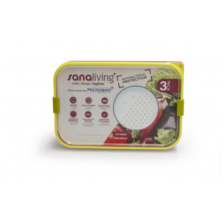 Кутия за храна Omada Sanaliving Box Set 3x 24x16,5x5cm/1L