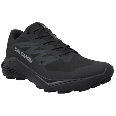 Дамски обувки Salomon Alphaglide Gore-Tex