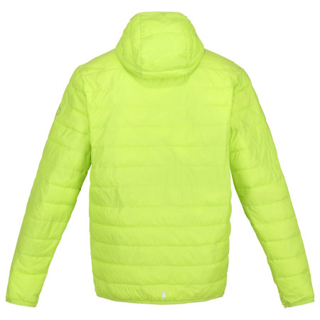 Мъжко зимно яке Regatta Hooded Hillpack