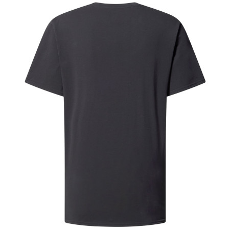 Мъжка тениска Haglöfs Outsiders Tee