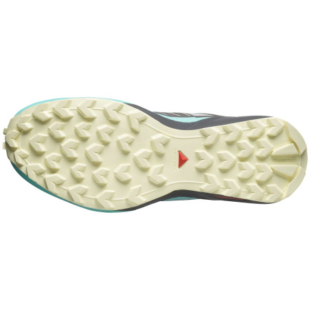 Дамски обувки Salomon Speedcross Peak