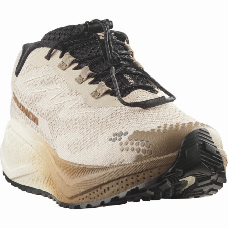 Дамски обувки за бягане Salomon Aero Blaze 4 Grvl W