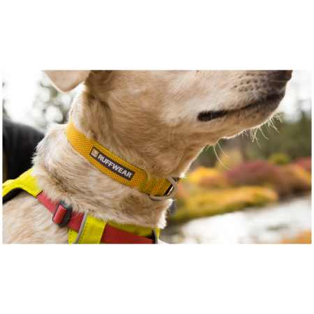 Нашийник за куче Ruffwear Hi & Light™ Collar