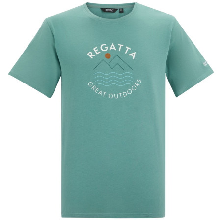 Мъжка тениска Regatta Cline IX син Arctic