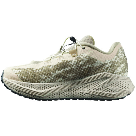 Дамски обувки Salomon Aero Glide 4 Grvl