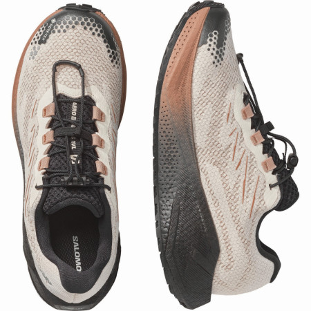 Дамски обувки за бягане Salomon Aero Blaze 4 Grvl GTX W