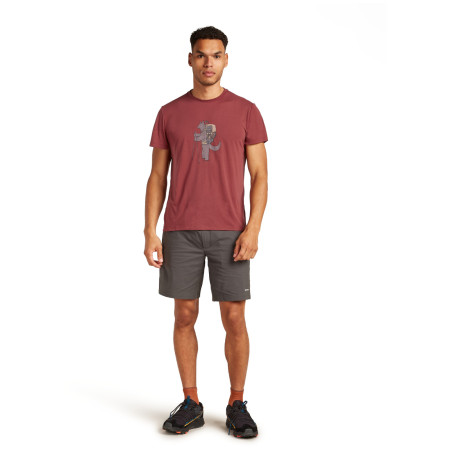 Функционална мъжка тениска Icebreaker M Mer Core SS Tee Tech Head