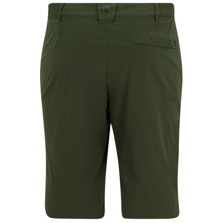 Мъжки къси панталони Regatta Highton Shorts Long II