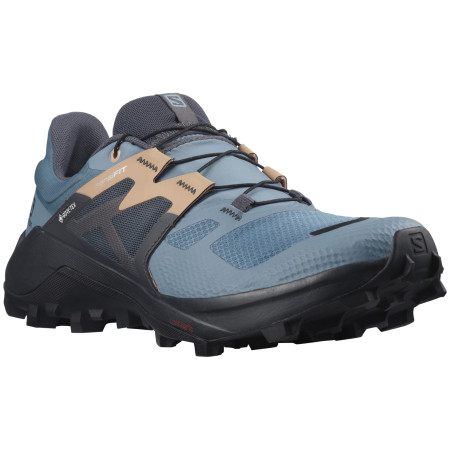 Дамски обувки Salomon Wildcross 2 Gore-Tex син Bluestone