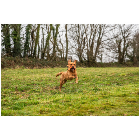 Играчка за куче Mountain Paws Rubber Throw Dog Toy