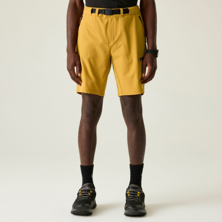 Мъжки къси панталони Dare 2b Tuned In Pro II Short