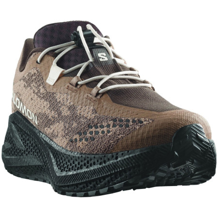 Мъжки обувки за бягане Salomon Aero Glide 4 Grvl