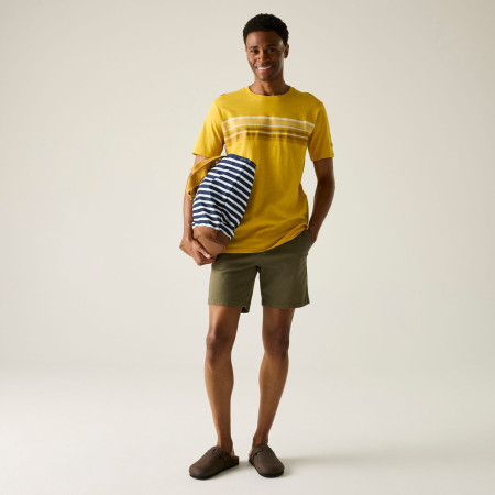 Мъжка тениска Regatta Rendro