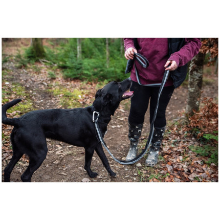 Повод с амортисьор Mountain Paws Shock Absorber Dog Lead