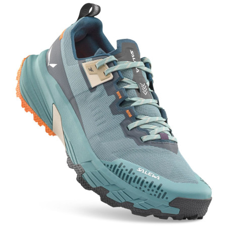 Мъжки обувки Salewa Pedroc 2 Max M