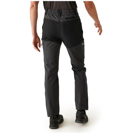 Мъжки панталони Regatta Questra V