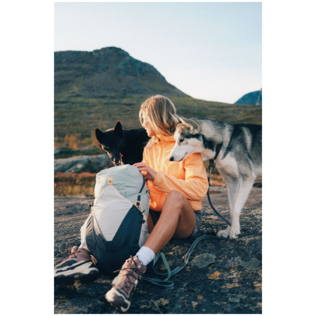 Дамски обувки Salomon X Ultra 5 Mid Gore-Tex