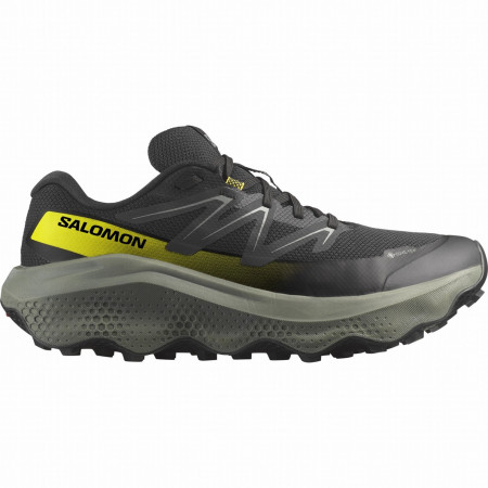 Мъжки обувки Salomon Ultra Flow 2 Gore-Tex