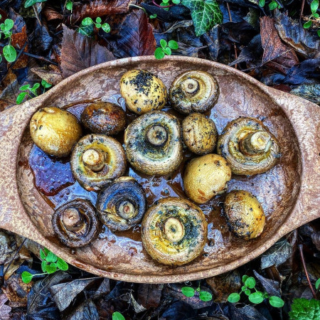 Как да готвим сред природата