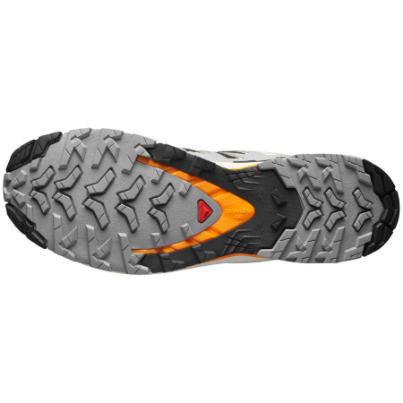Мъжки обувки Salomon Xa Pro 3D V9