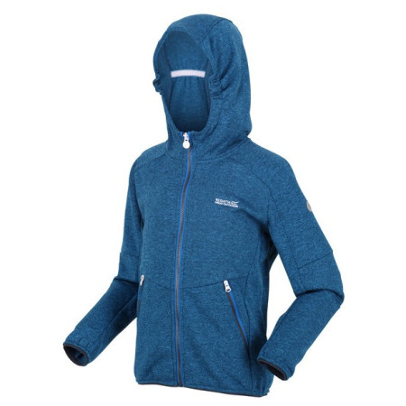 Детски суичър Regatta Maxwell син